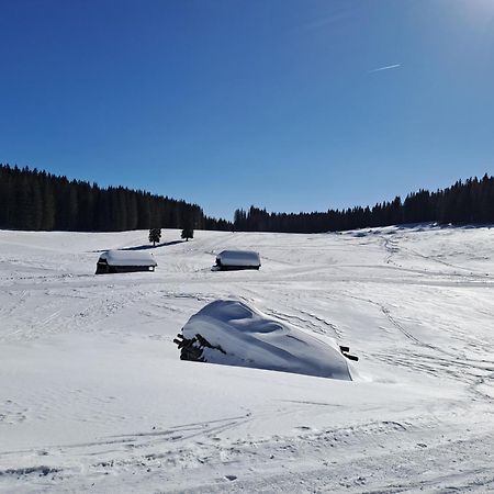 Villa Pokljuka Згорнє Горє Екстер'єр фото