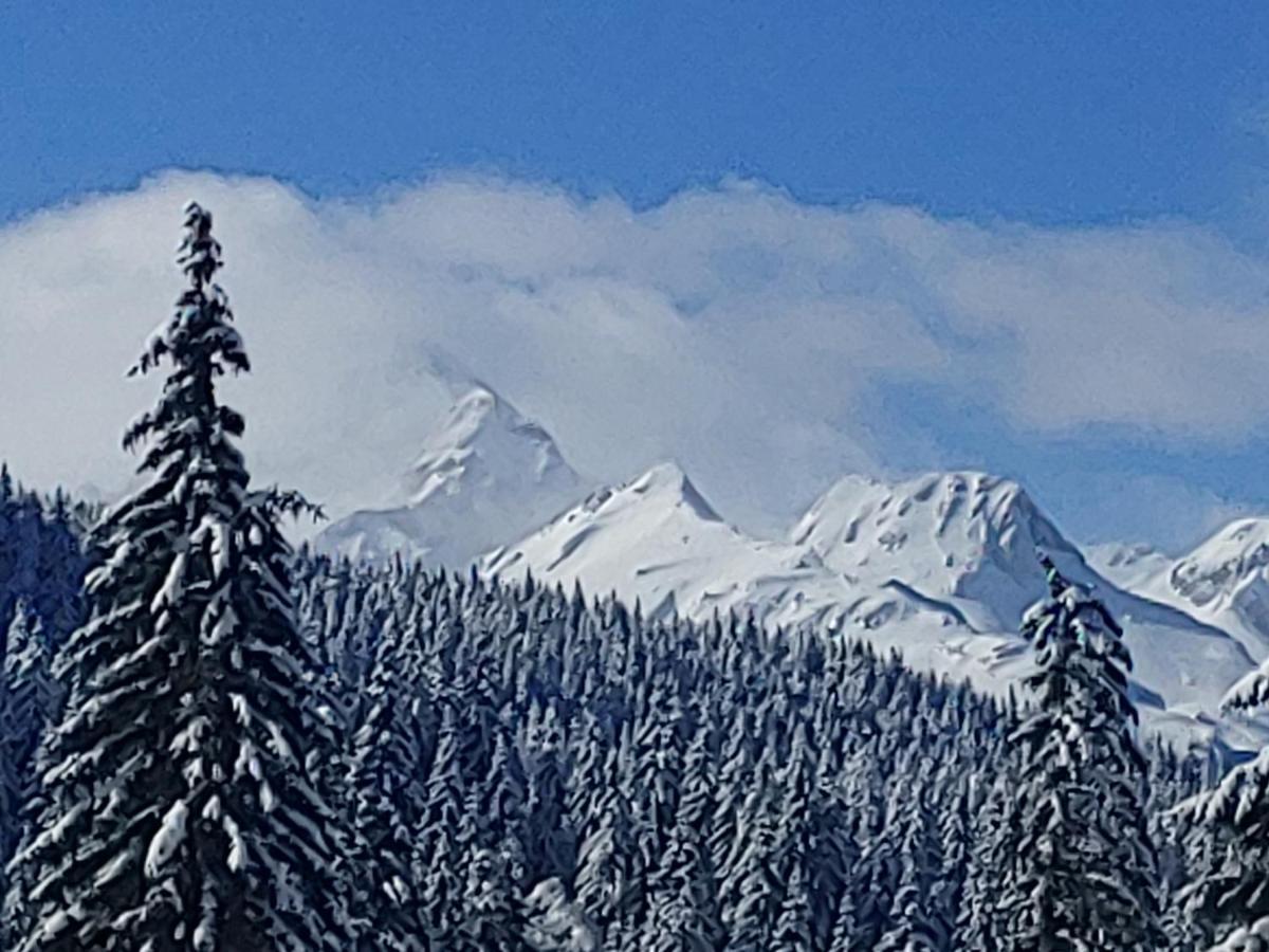 Villa Pokljuka Згорнє Горє Екстер'єр фото