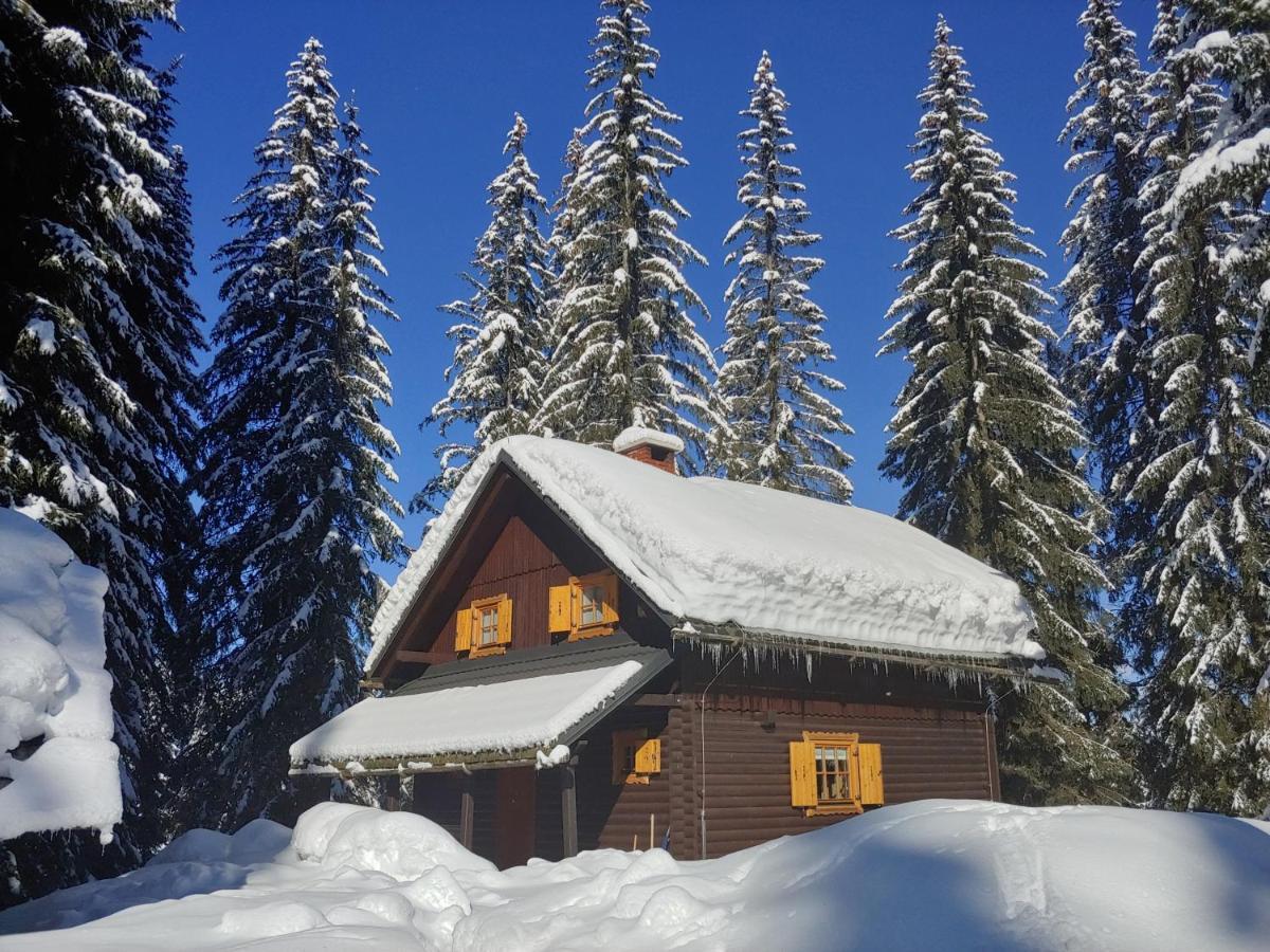 Villa Pokljuka Згорнє Горє Екстер'єр фото