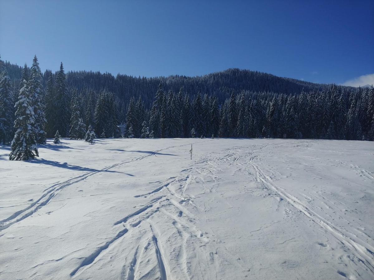 Villa Pokljuka Згорнє Горє Екстер'єр фото