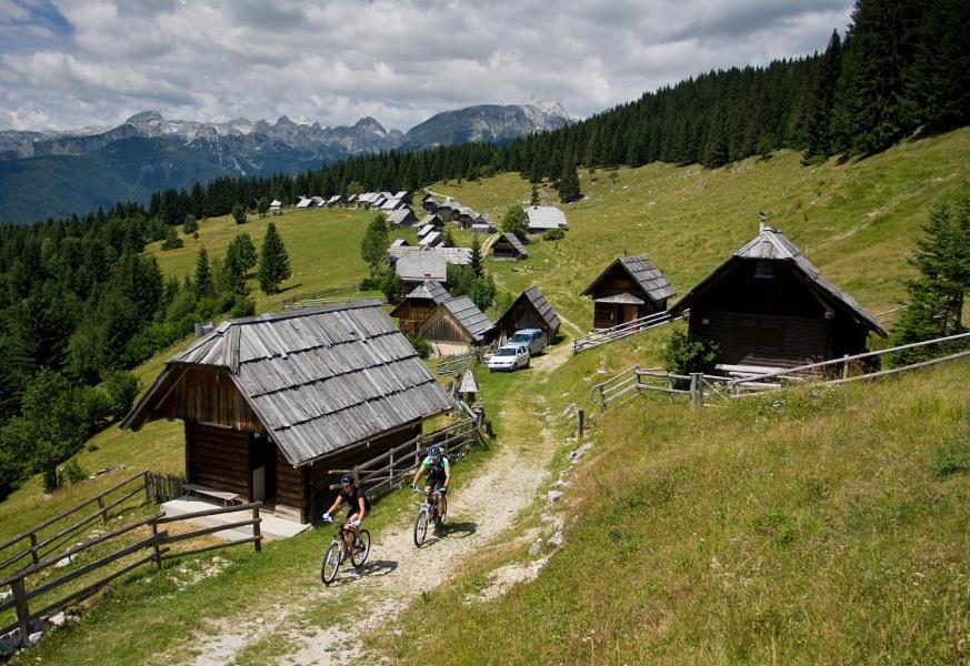 Villa Pokljuka Згорнє Горє Екстер'єр фото