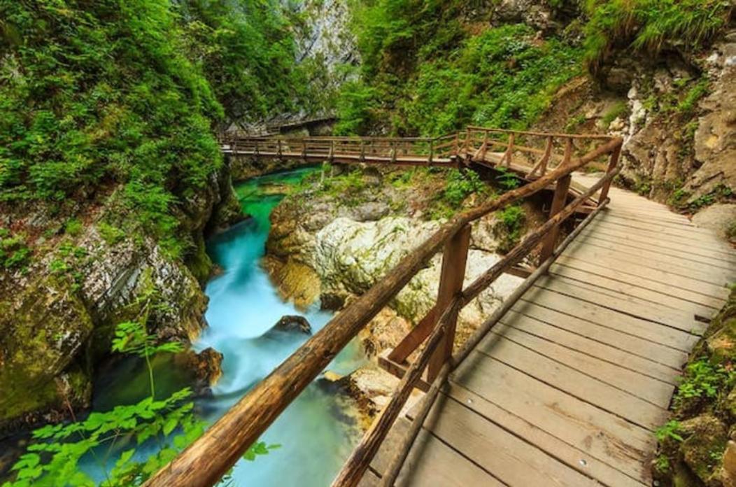Villa Pokljuka Згорнє Горє Екстер'єр фото