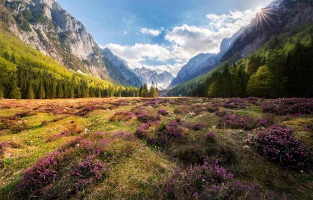 Villa Pokljuka Згорнє Горє Екстер'єр фото