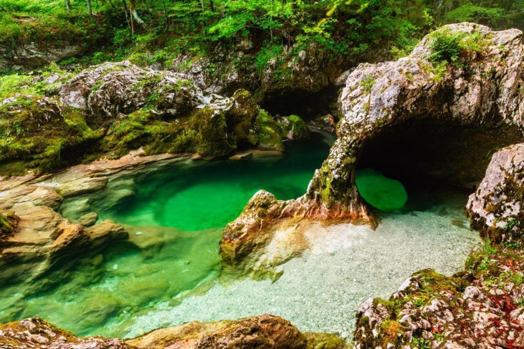 Villa Pokljuka Згорнє Горє Екстер'єр фото