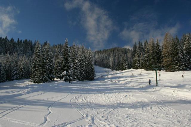 Villa Pokljuka Згорнє Горє Екстер'єр фото