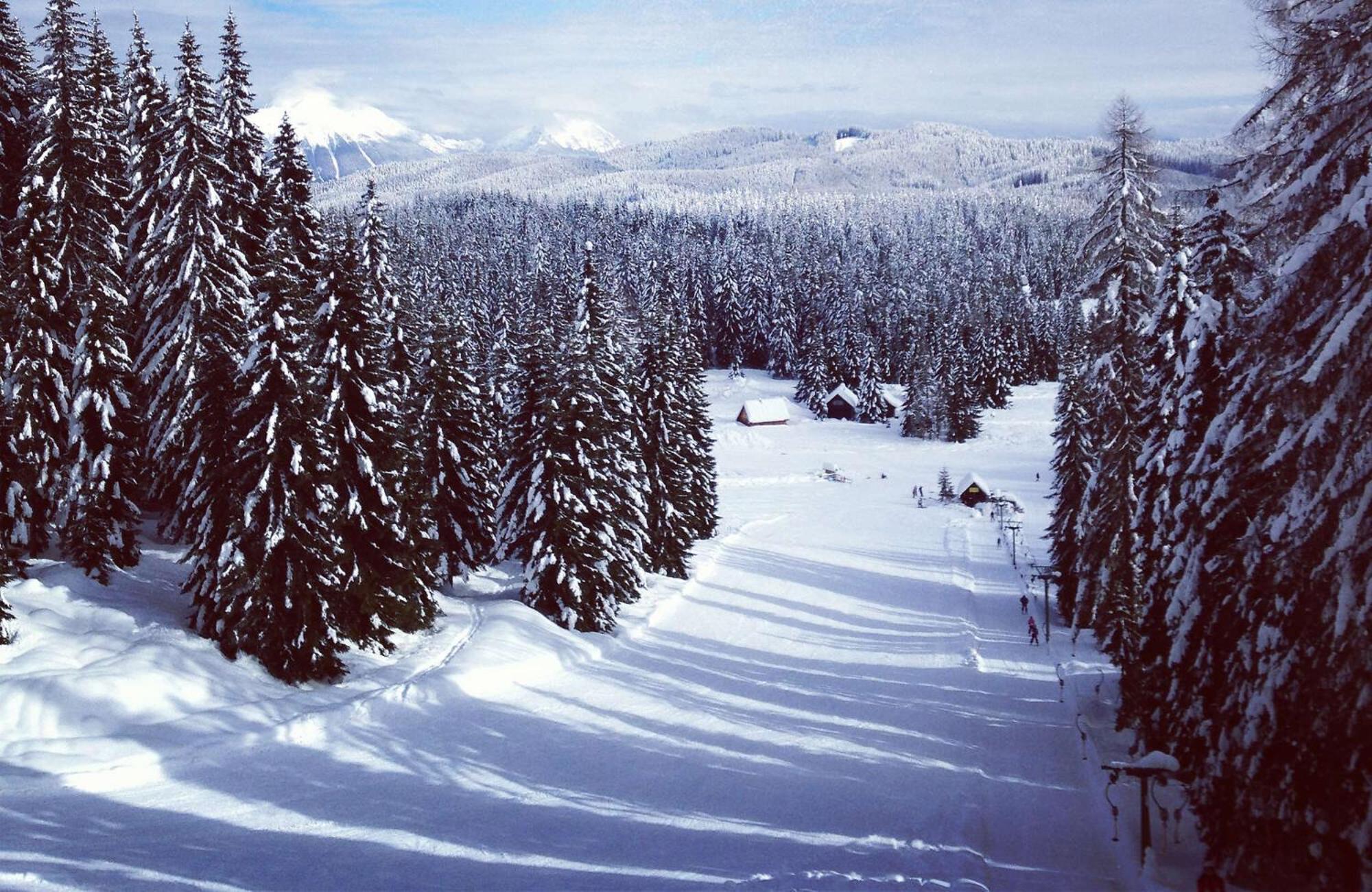 Villa Pokljuka Згорнє Горє Екстер'єр фото