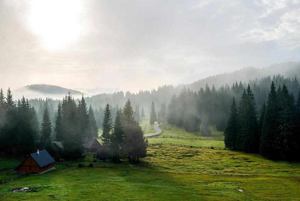 Villa Pokljuka Згорнє Горє Екстер'єр фото