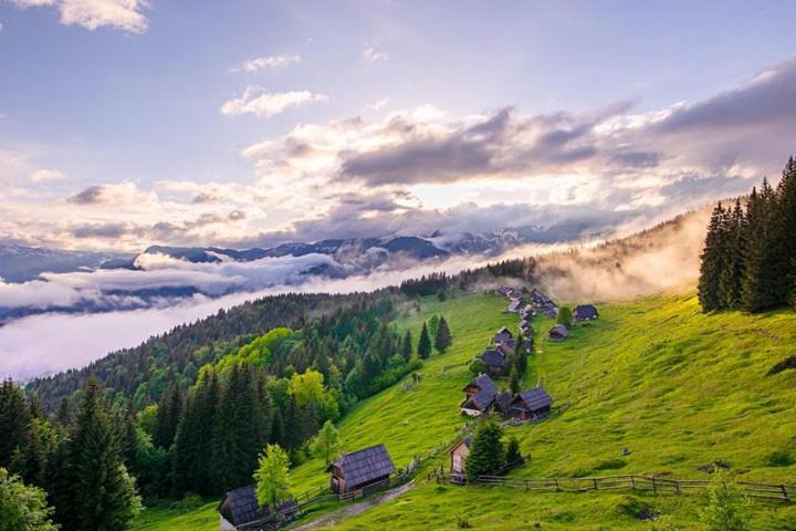 Villa Pokljuka Згорнє Горє Екстер'єр фото