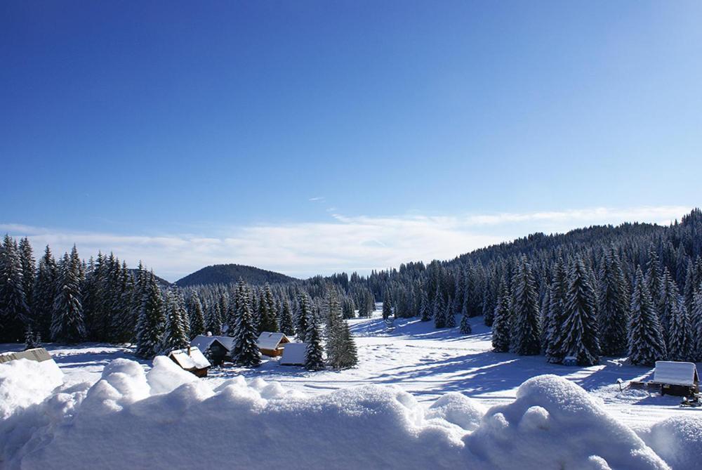 Villa Pokljuka Згорнє Горє Екстер'єр фото