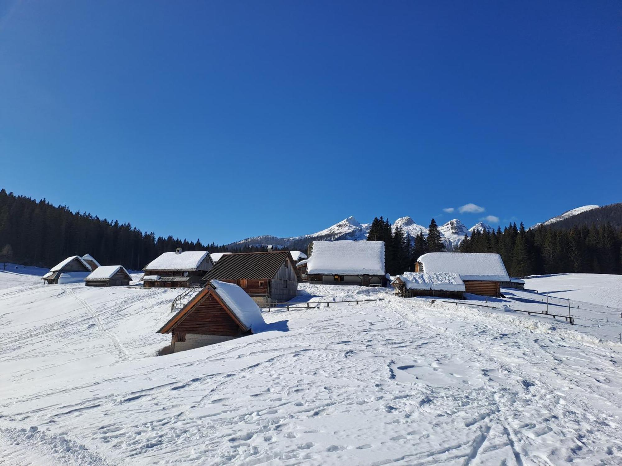 Villa Pokljuka Згорнє Горє Екстер'єр фото